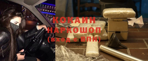 таблы Гусев