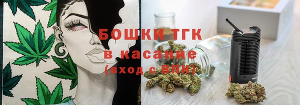 apvp Гусь-Хрустальный