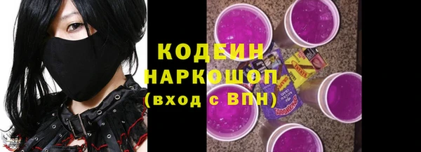 таблы Гусев