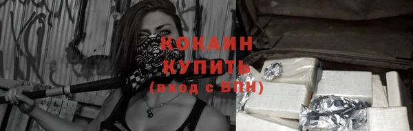 таблы Гусев