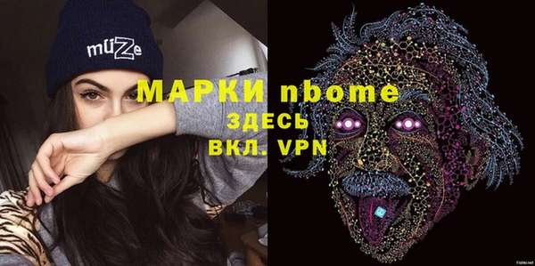 apvp Гусь-Хрустальный