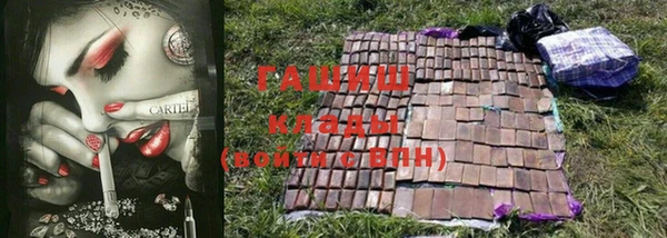 таблы Гусев