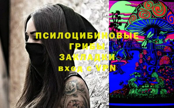 apvp Гусь-Хрустальный