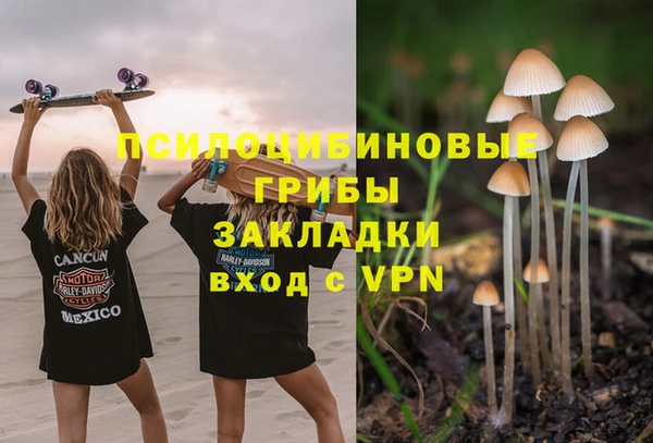 apvp Гусь-Хрустальный