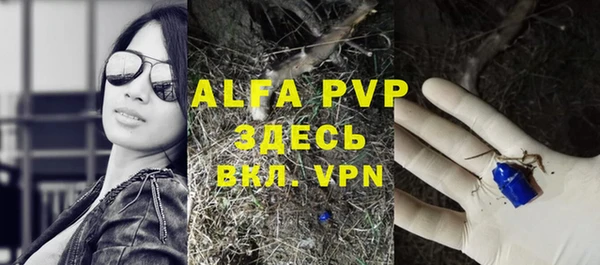 apvp Гусь-Хрустальный