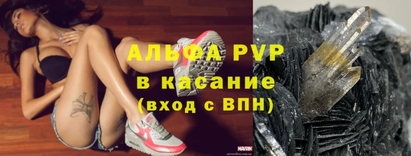 сатива Гусиноозёрск