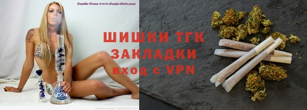 таблы Гусев
